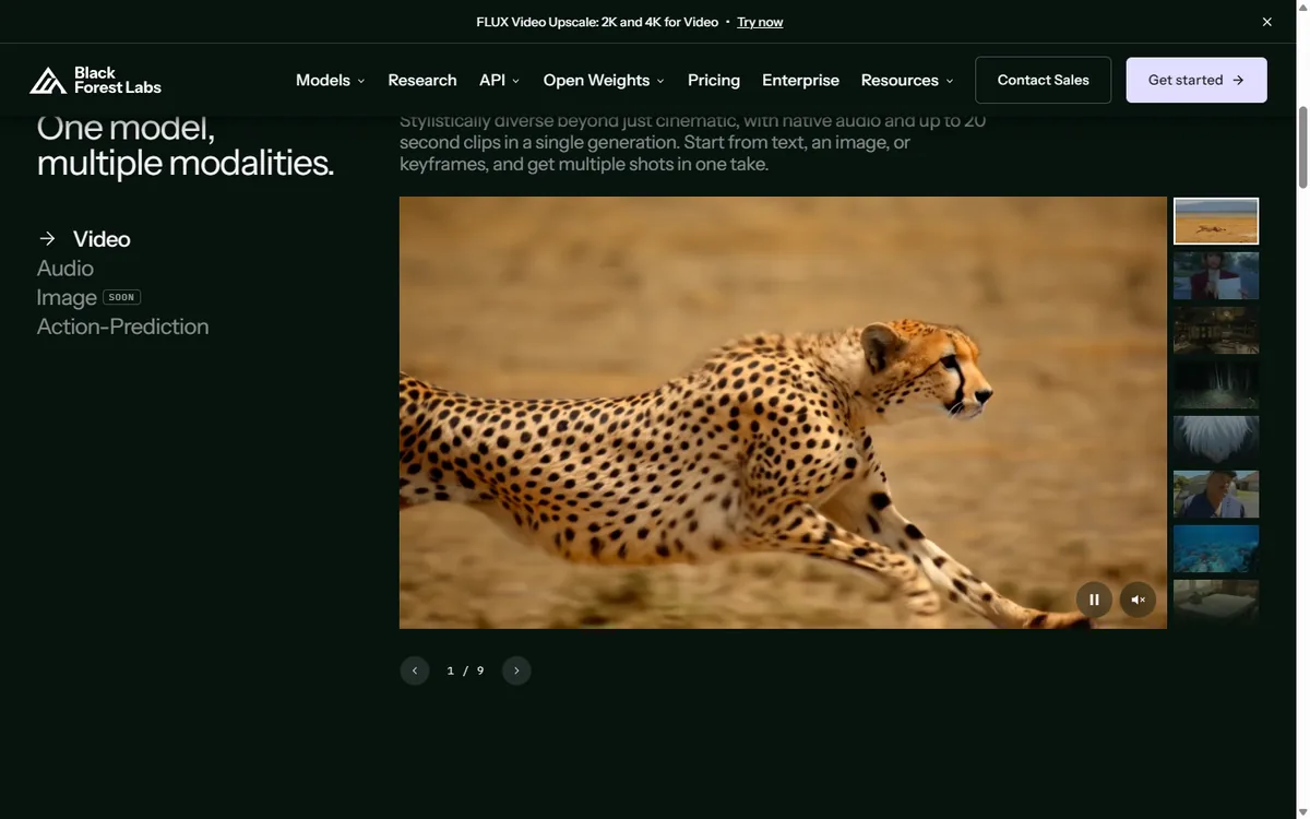 Black Forest Labs homepage, the lab behind the Flux image models, showing its one-model multiple-modes hero